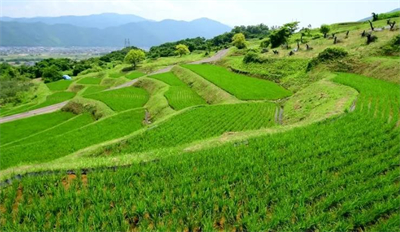 生態(tài)環(huán)境部通報8月和1—8月全國環(huán)境空氣質量狀況