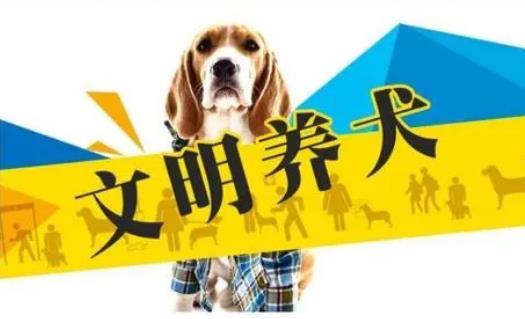 2023年3月1日起施行！《黃石市養(yǎng)犬管理條例》來了