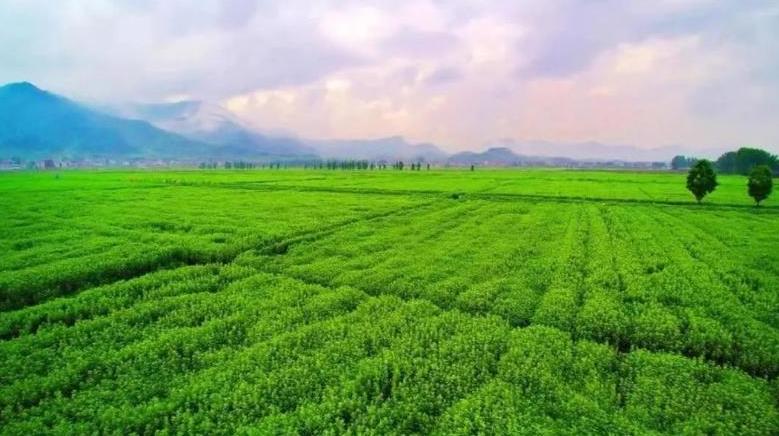 祝賀！蘄春縣生物多樣性保護(hù)成功入選全國優(yōu)秀案例